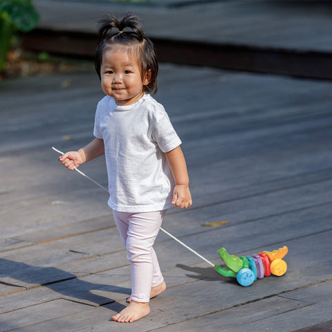 Plan Toys - Rainbow Alligator