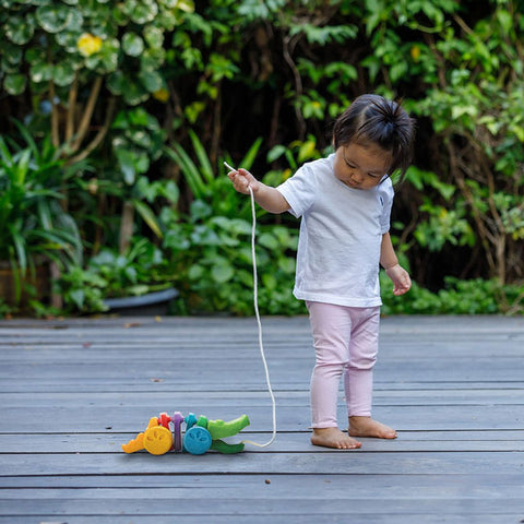 Plan Toys - Rainbow Alligator