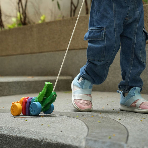 Plan Toys - Rainbow Alligator