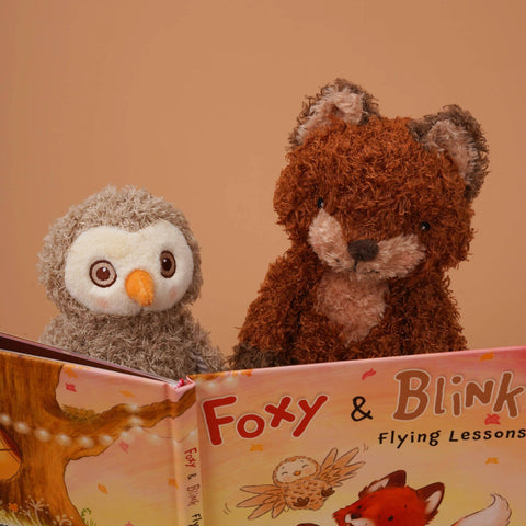 Bunnies By the Bay - Foxy & Blink Flying Lesson Story Book