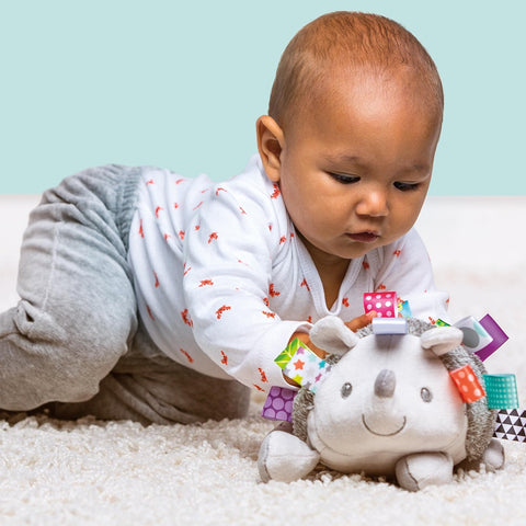 Mary Meyer - Taggies Heather Hedgehog Soft Toy