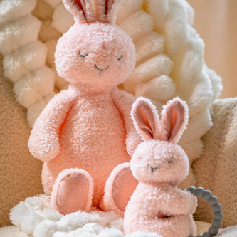 Mary Meyer - Sweet Dreams Bunny Teether Rattle