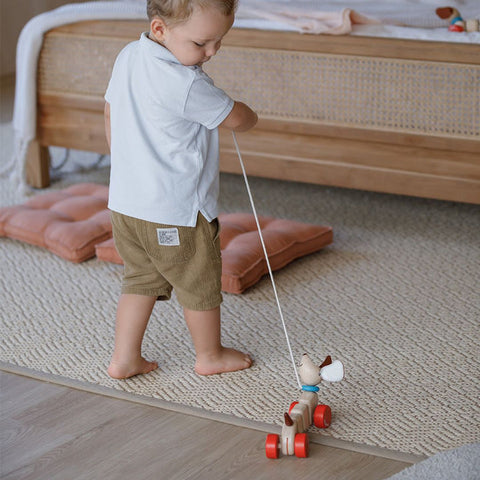 Plan Toys - Happy Puppy