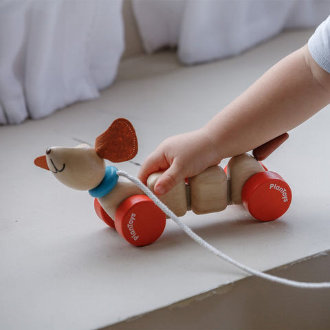 Plan Toys - Happy Puppy