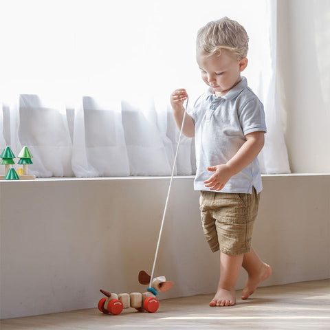 Plan Toys - Happy Puppy