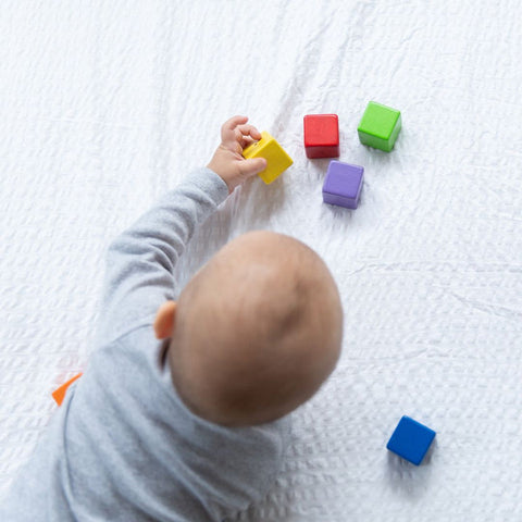 Plan Toys - Activity Blocks