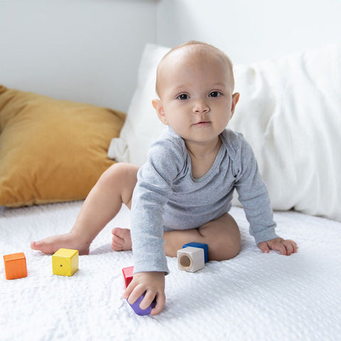 Plan Toys - Activity Blocks