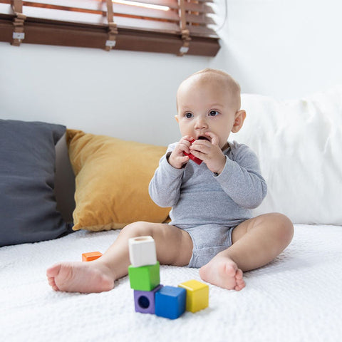 Plan Toys - Activity Blocks