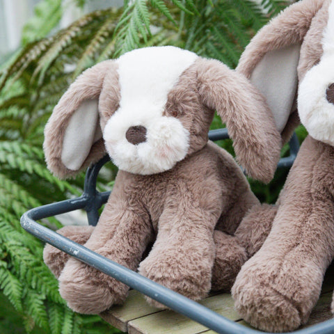 Bunnies By the Bay - Little Floppy Mutt