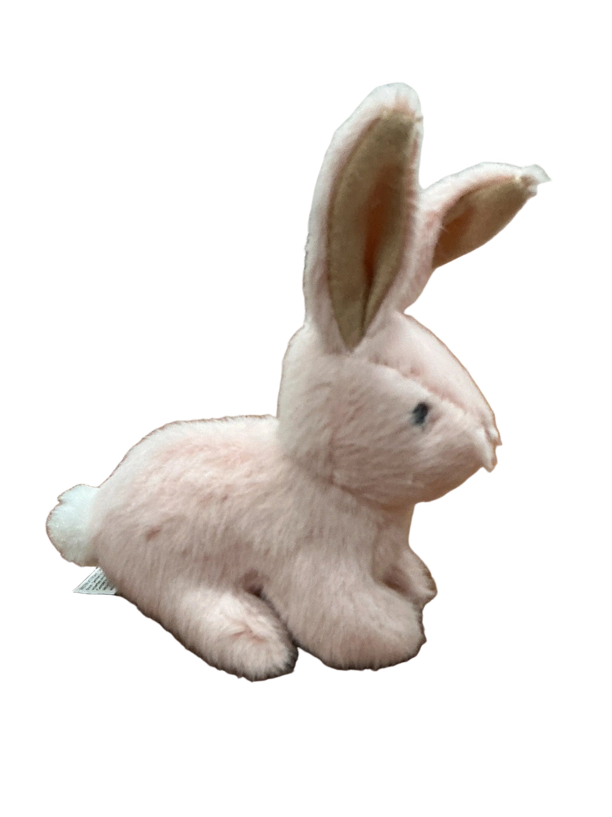 Mary Meyer - Neat Petites Bunny Set | 5