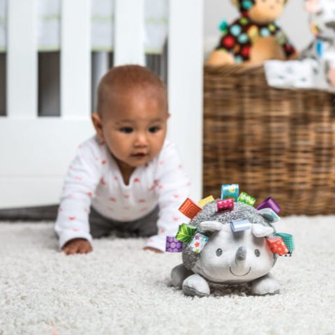 Mary Meyer - Taggies Heather Hedgehog Soft Toy