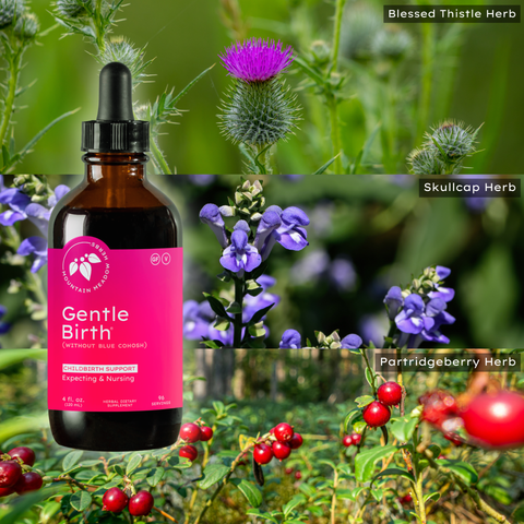 Mountain Meadow Herbs - Gentle Birth (Without Blue Cohosh)