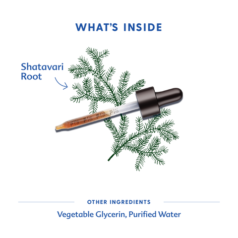 Motherlove - Shatavari