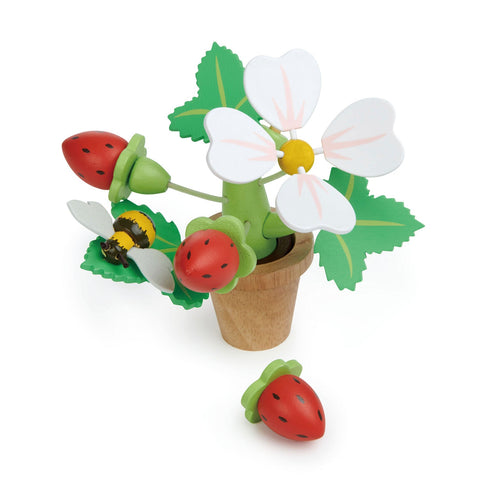 Tender Leaf - Strawberry Flower Pot