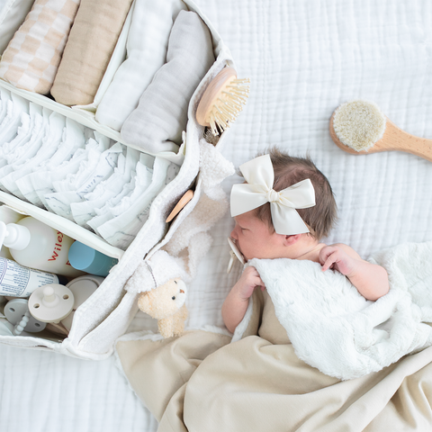 Lou Lou and Company - The Baby Caddy