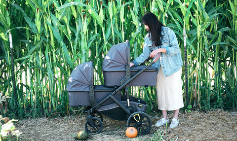 Veer - Bassinet