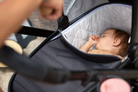 Veer - Bassinet