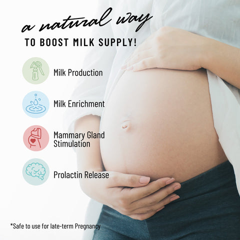 Cash Cow by Legendairy Milk - Natural way to boost milk supply