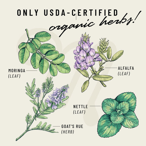 Cash Cow by Legendairy Milk - USDA Certified Organic Herbs