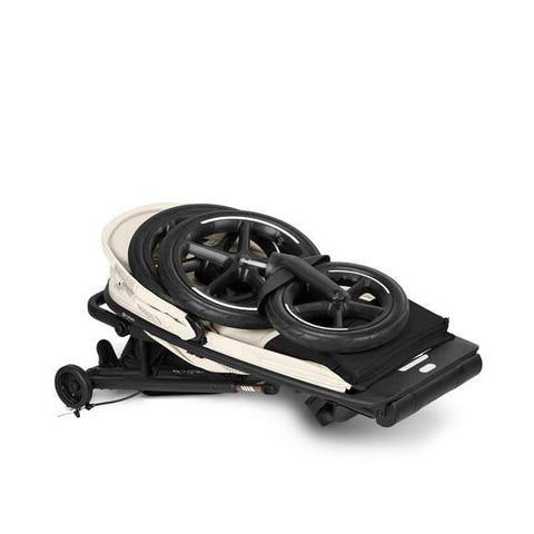 CYBEX Gold - Avi Spin