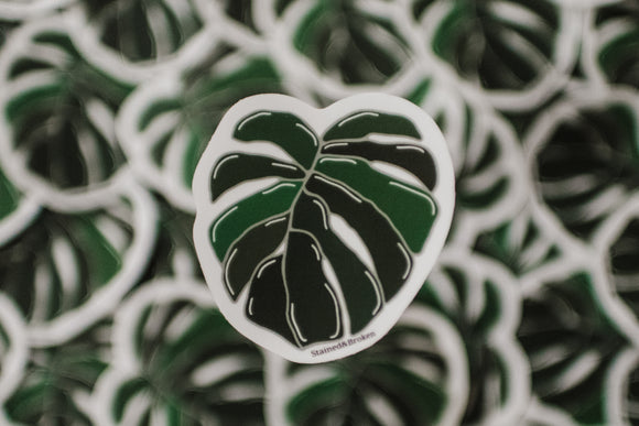 Stained & Broken - Monstera Leaf Sticker