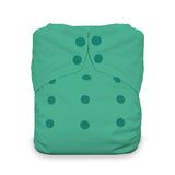 Thirsties - Natural One Size All in One